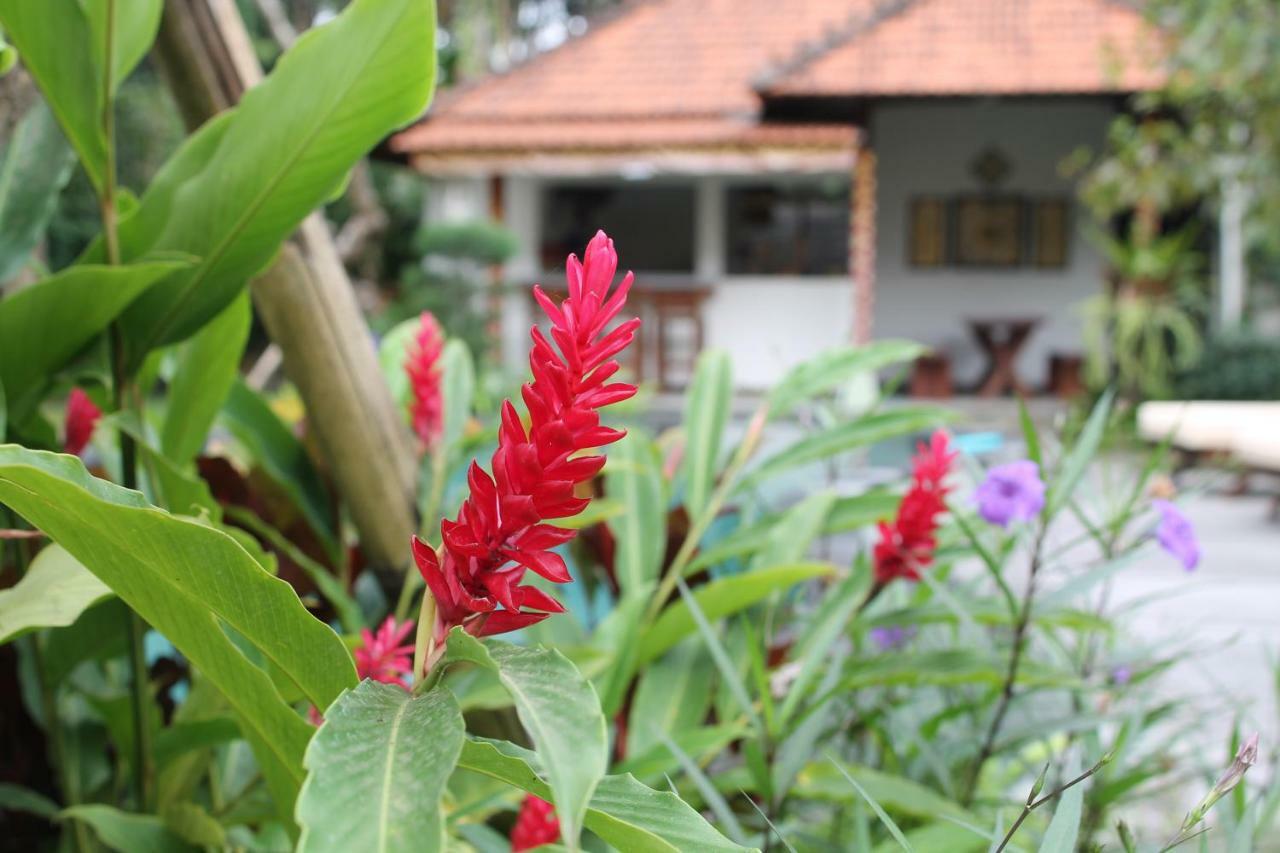 Villa Sindu Ubud Zewnętrze zdjęcie