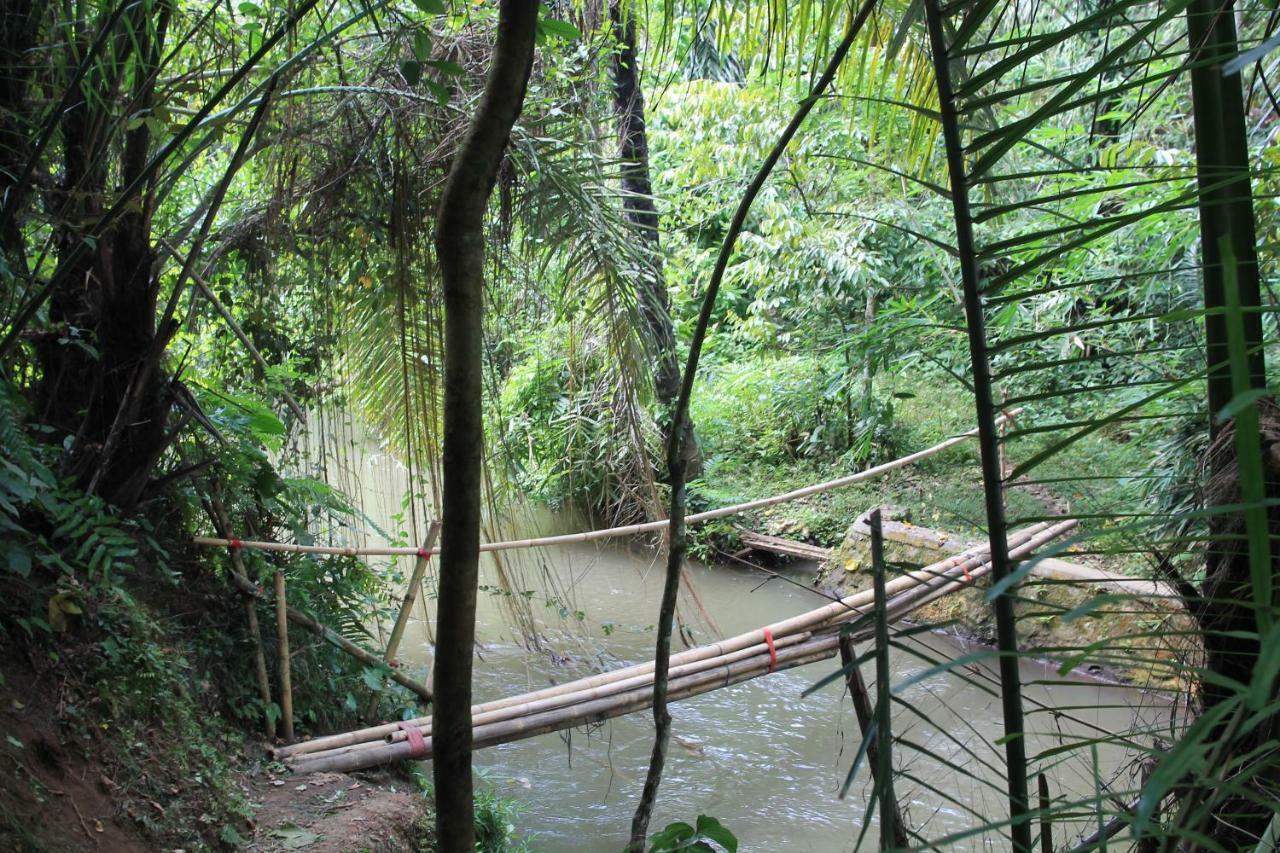 Villa Sindu Ubud Zewnętrze zdjęcie