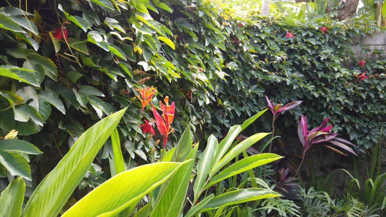 Villa Sindu Ubud Zewnętrze zdjęcie