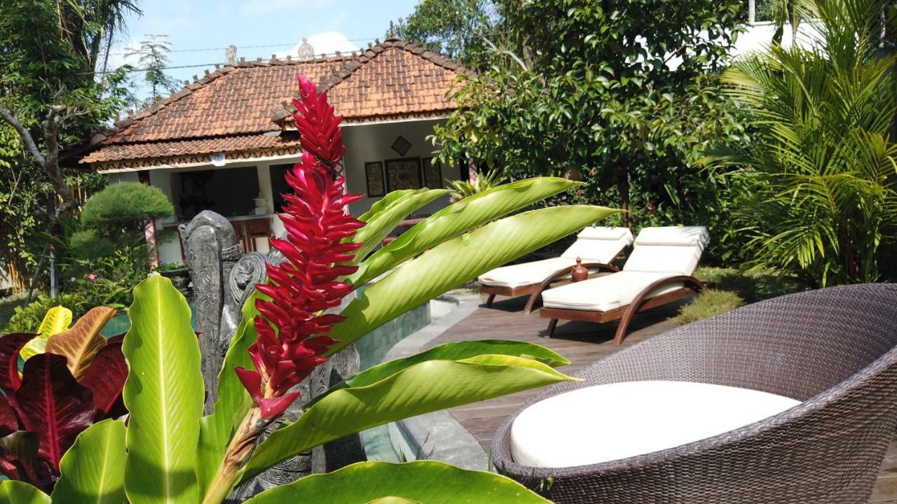 Villa Sindu Ubud Zewnętrze zdjęcie